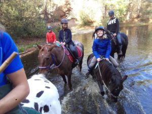 groep water2